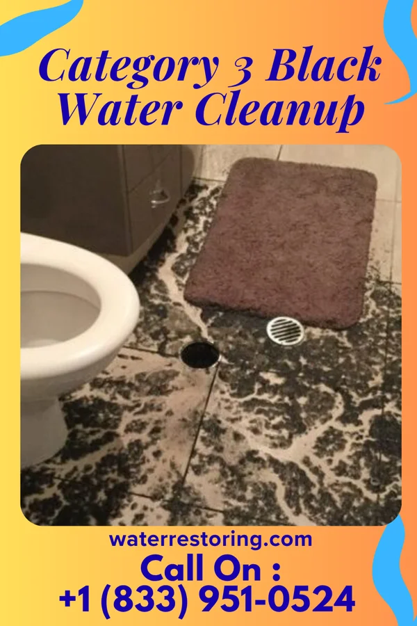 Category 3 Black Water Cleanup in Rosalia, WA